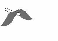 Fly Loop